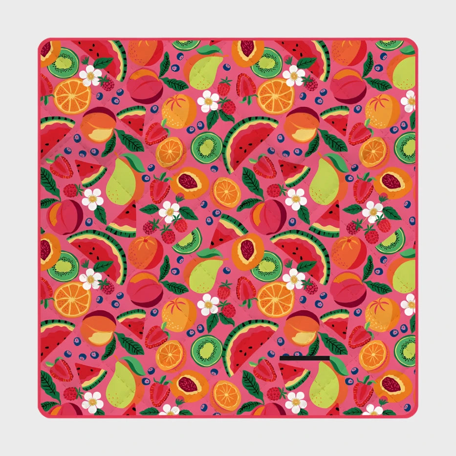 Picnic Mat Picnic