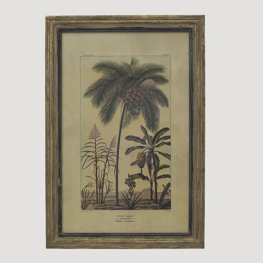 Botanical Wall Art Species B