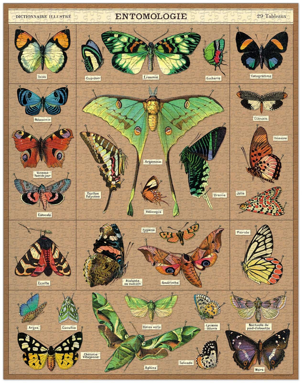 Entomology 1000 Piece Vintage Puzzle