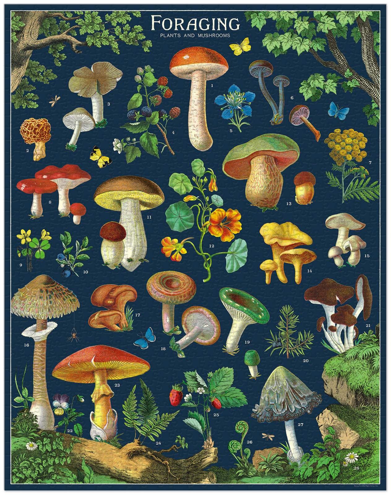 Foraging 1000 Piece Vintage Puzzle