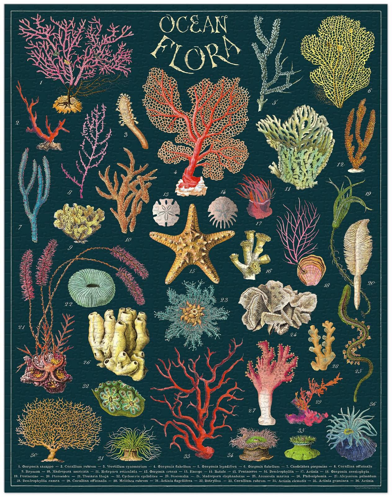 Ocean Flora 1000 Piece Vintage Puzzle