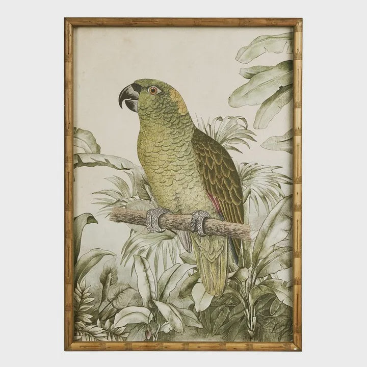 Jungle Parrot Wall Art A