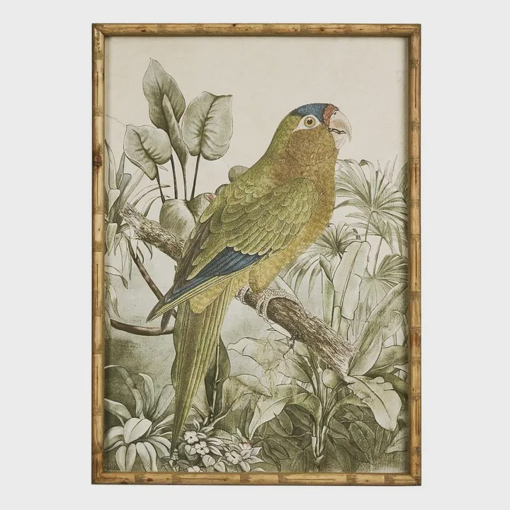 Jungle Parrot Wall Art B
