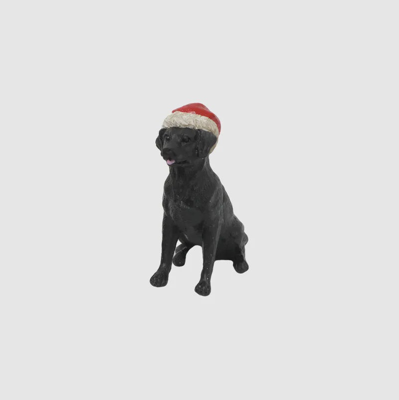 Dog with Santa Hat