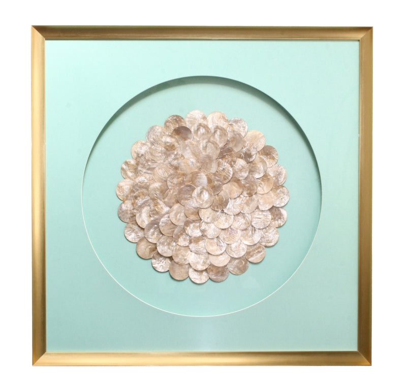 Sea Shells Framed Art